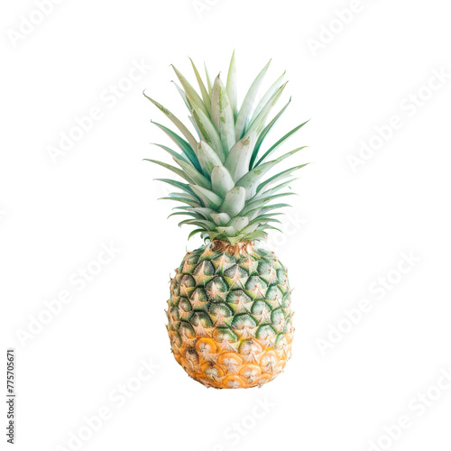 A pineapple on transparent background