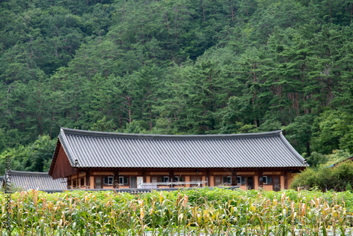 Exterior of the traditional Korean building in the Buddhist temple