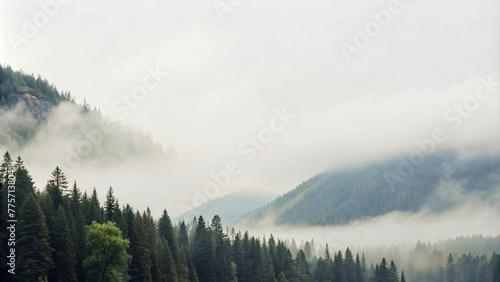 Foggy Mountain Landscape in Winter Morning