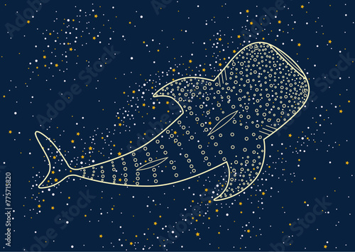 Illustration of the whale shark on the night stars sky. Line art