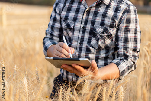 Farmer using digital tablet in barley field on sunny day  Smart farming  Business agriculture technology concept.