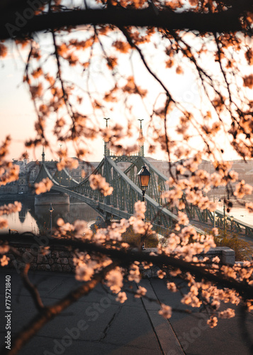 Beautiful Liberty Bridge wi...