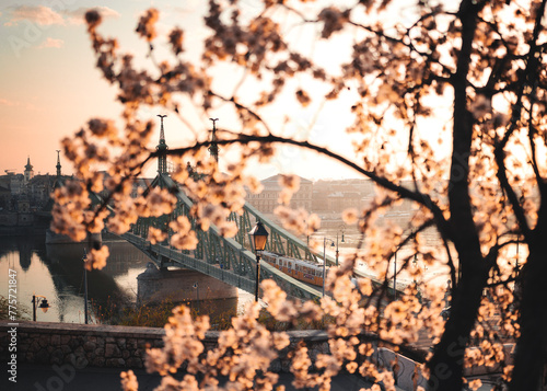 Beautiful Liberty Bridge wi...