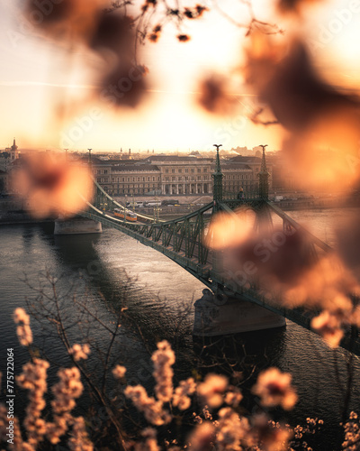 Beautiful Liberty Bridge wi...