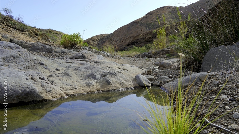 Lack of water in the ravine in a desert environment and little vegetation