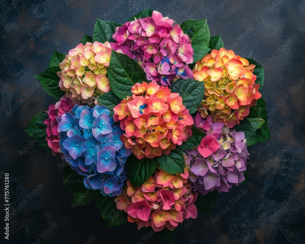 Vibrant top view of a lush hydrangea bouquet, a kaleidoscope of colors blossoming under soft daylight Vibrant top view of a lush hydrangea bouquet, a kaleidoscope of colors blossoming under soft daylight