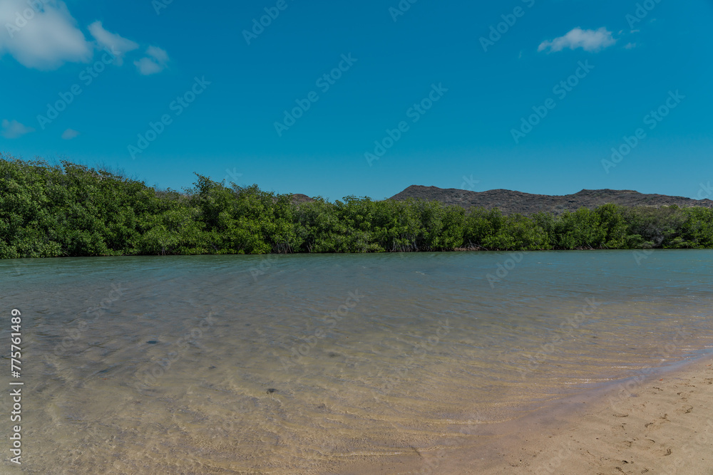 Kaiwi Shoreline Trai, Makapuu HONOLULU OAHU HAWAII