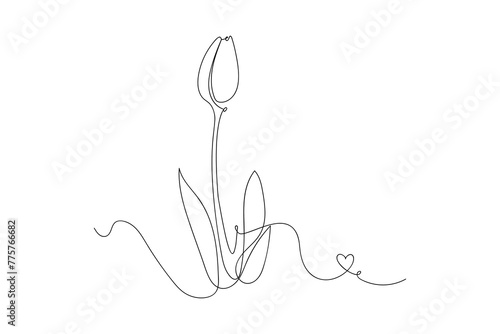 Tulip flower line art design. Hand drawn flowers. botanical arts.