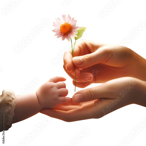 A woman's hand is taking flowers from a child's small hand. Concept illustration for Mother's Day