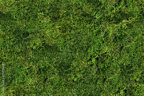Seamless moss grass texture for decoration, wall mural, green for interior architecture, ambient wall deep long photo