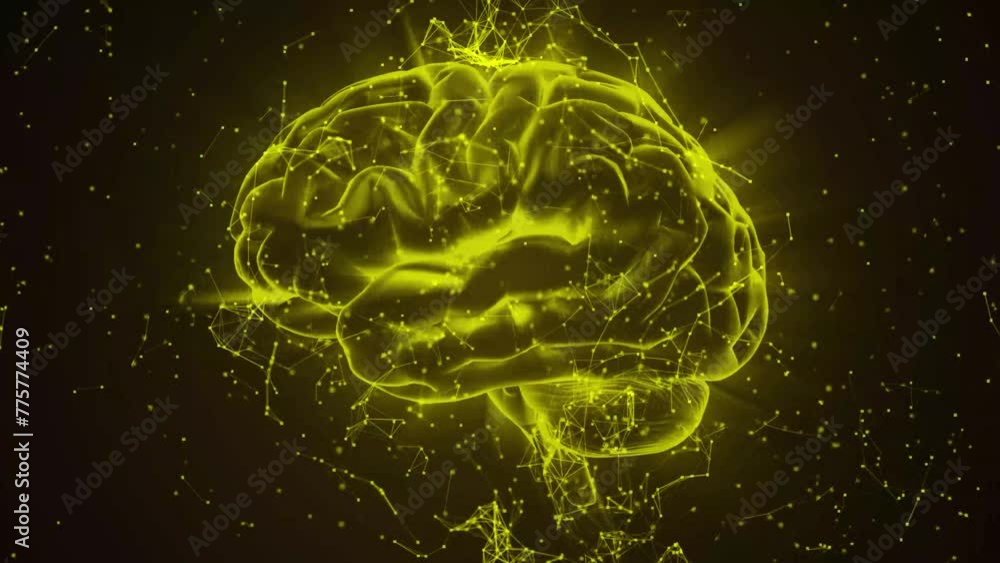 Wireframe 3D Animation of Human Brain, Holographic human brain rotating ...