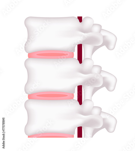 Vector illustration of normal disc