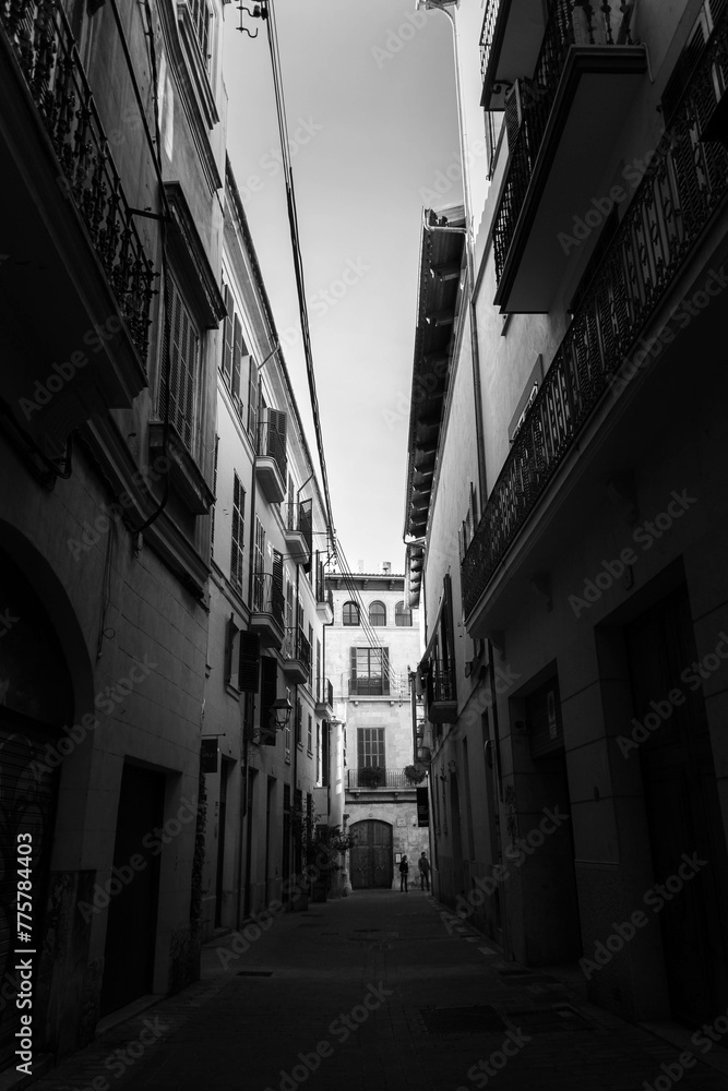 Palma de Mallorca in black and white.