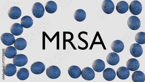 3d rendering of MRSA, stands for methicillin-resistant Staphylococcus aureus, a type of bacteria that is resistant to several antibiotics photo