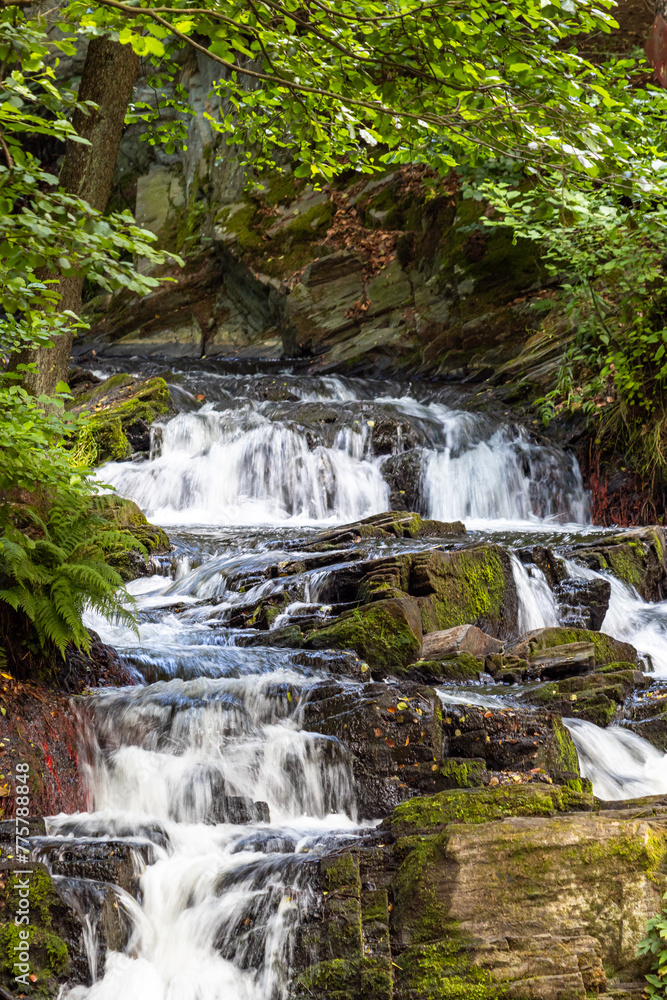 Fototapeta premium Harzer Wasserfall Selkefall Selketal Harz