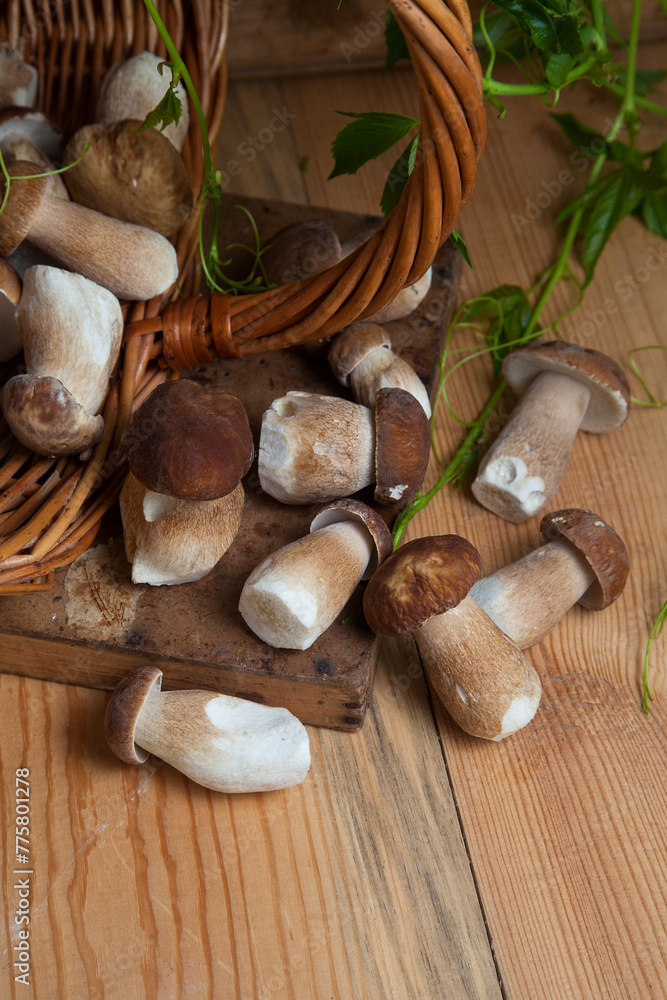 Pile of wild porcini mushrooms on wooden background at autumn season..