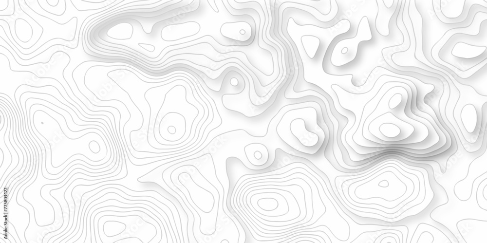 Vector geography landscape Topo contour map on white background, Topographic contour lines. Seamless pattern with lines Topographic map. Geographic mountain relief diagram line wave carve pattern.