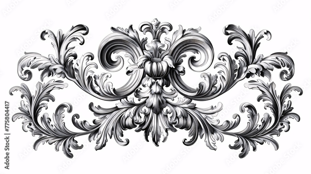 Elegant ornate frame with floral motifs and intricate details in a classic black and white design.
