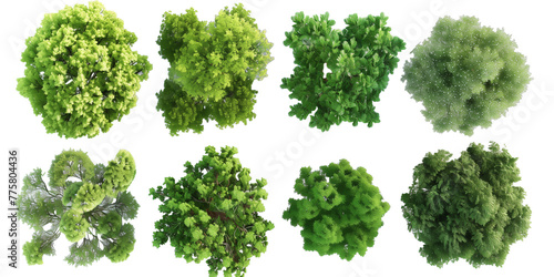 Set of tree, bush, tree view from above, nature, isolated on white, in different positions, realistic, 3D 