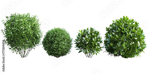 Set of bushes green isolated on white, in different positions, realistic, 3D 