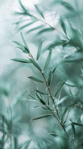 Pastel blue green coloured plant with narrow leaves  organic natural foliage wallpaper with blurred background and bokeh.