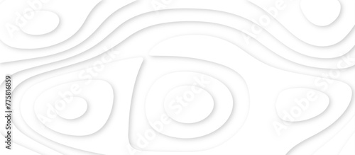 Abstract paper carve template. abstract white and gray 3d papercut topography relief vector background illustration. topographic canyon geometric map relief texture with curved layers and shadow.