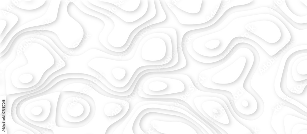 Abstract paper carve template. abstract white and gray 3d papercut topography relief vector background illustration. topographic canyon geometric map relief texture with curved layers and shadow. Abstract paper carve template. abstract white and gray 3d papercut topography relief vector background illustration. topographic canyon geometric map relief texture with curved layers and shadow.