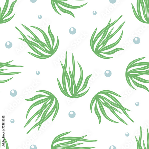 Hand-drawn colored underwater sea weed seamless pattern, laminaria spirulina seaweed in flat style. Water element. Ocean vector illustration. Sea collection.