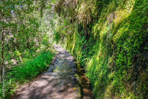 Narrow trail along levada Caldeirao Verde (irrigation canal) in the island of Madeira, Portugal photo