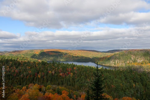 Scenic river valley with trees and mountains in the background.