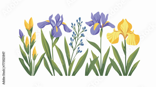Illustration of iris and mugwort of Childrens Day flat photo