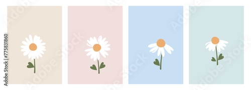 Set of daisy chamomile flower with heart shape leaves on pastels colors backgrounds vector. Cute floral wall art decoration.