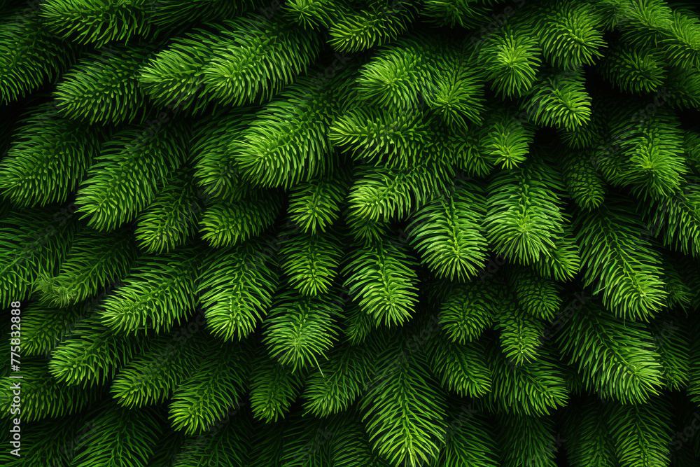 Green fir texture close up
Green fir texture close up