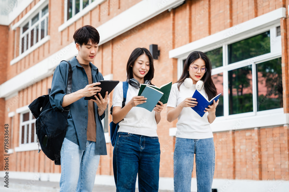 Fototapeta premium Diverse group of young adults from Asia and beyond, enjoying university life together. happy, learning, and making lifelong friendships, whether in outside class, sunny summer days or cozy weekends