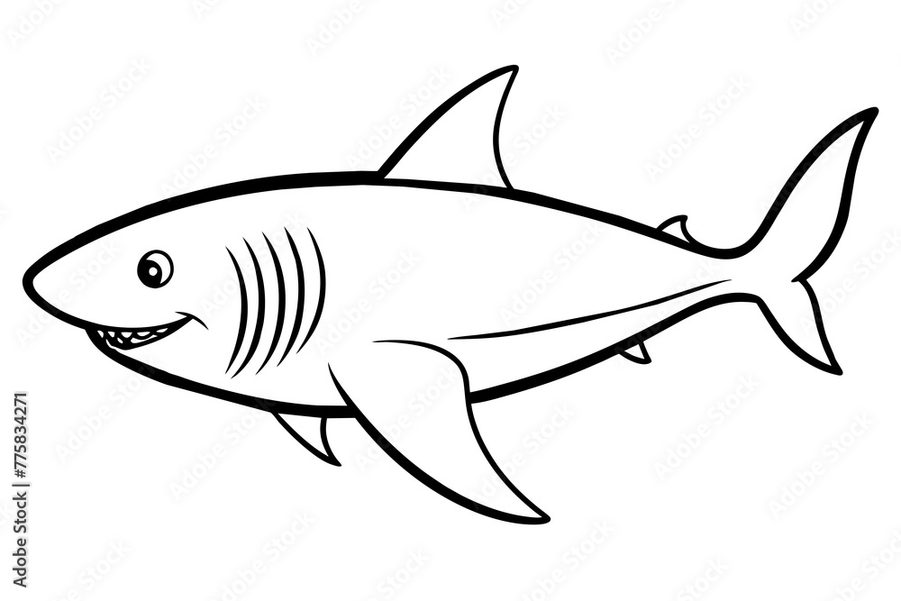 shark illustration & a-shark-vector-illustration shark illustration & a-shark-vector-illustration
