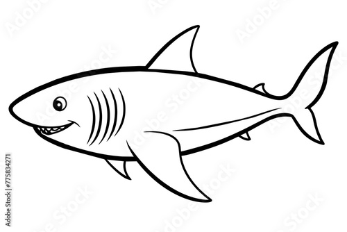shark illustration & a-shark-vector-illustration