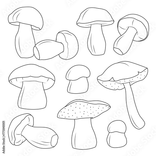 Bolete Mushrooms set. Hand drawn Line art. Black and white isolated on white background. Coloring page for kids and adults. Vector illustration.