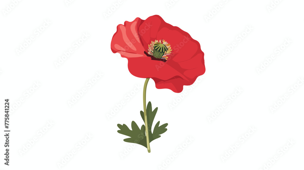 Vector poppy head with seeds isolated on white background