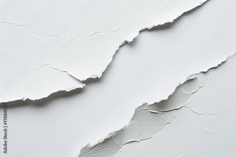 White paper texture White paper texture