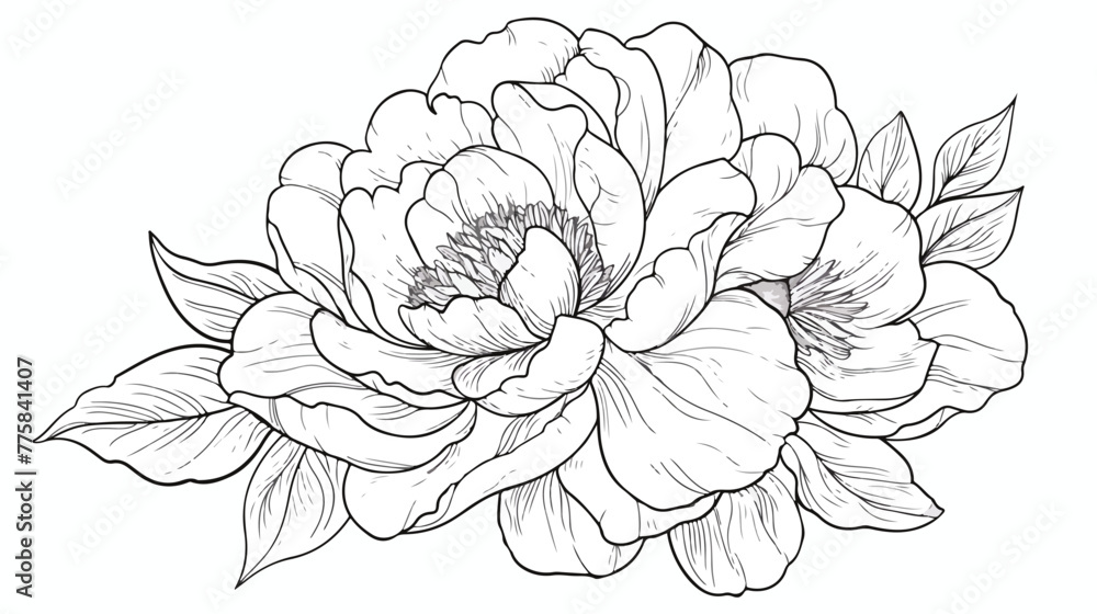 Vector single Peony. Botanical illustration doodle bl