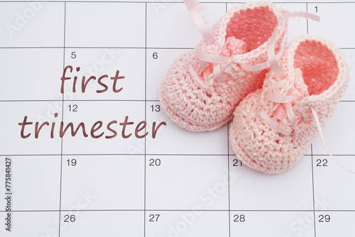 First Trimester message on a calendar with pink baby booties