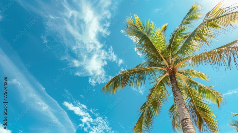 Coconut Palm tree on tropical beach with blue sky and white clouds abstract background. Copy space of summer vacation and business travel concept. Vintage tone filter effect color style. Coconut Palm tree on tropical beach with blue sky and white clouds abstract background. Copy space of summer vacation and business travel concept. Vintage tone filter effect color style.