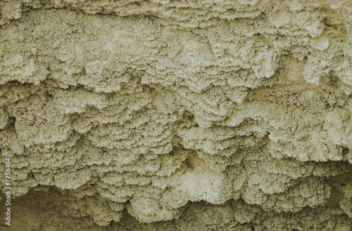 Rocks with the release of yellow sulfur, volcanic activity, zone of geothermal activity in the Rotorua region North Island of New Zealand