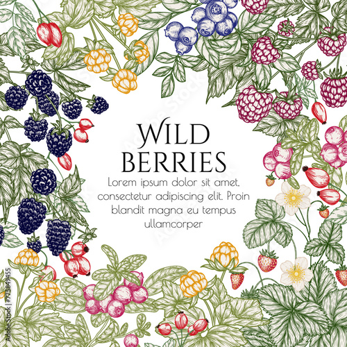 Vector illustration of forest edible berries. Strawberries, rose hips, raspberries, blackberries, lingonberries, blueberries, cloudberry