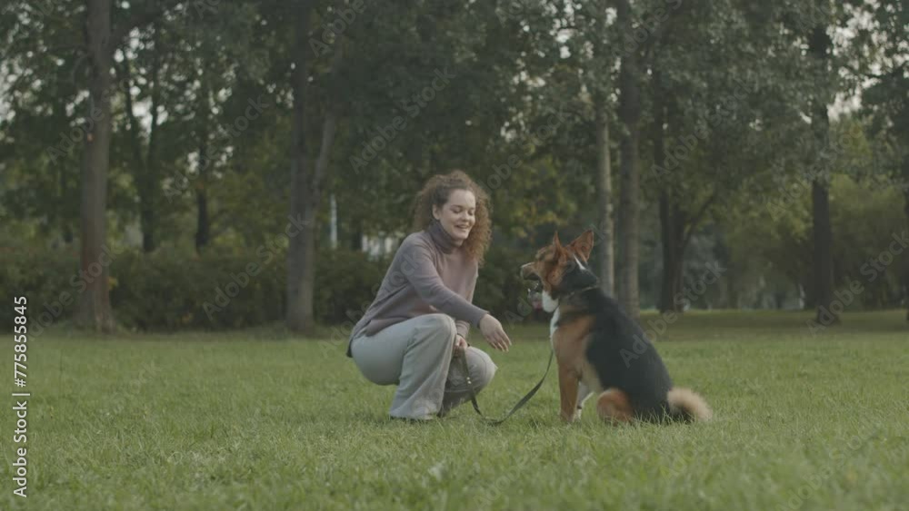 Full shot of young Caucasian woman training her mixed breed dog on green grass in park, teaching him to give paw Full shot of young Caucasian woman training her mixed breed dog on green grass in park, teaching him to give paw