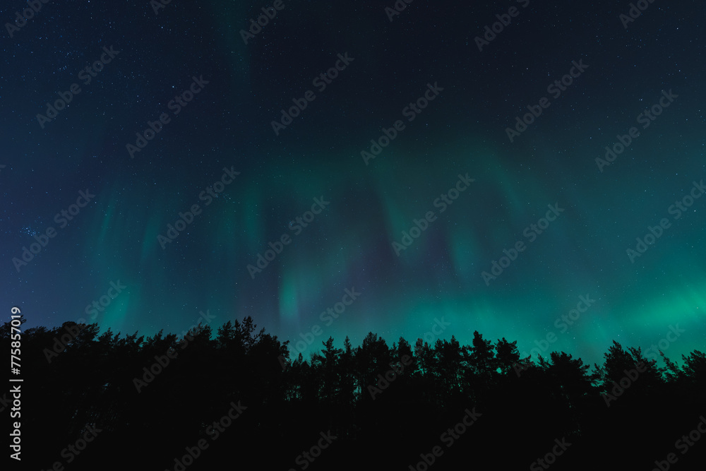 Northern lights over the forest, night nature scene of Estonia in Kaberneeme.