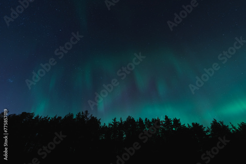 Northern lights over the forest  night nature scene of Estonia in Kaberneeme.