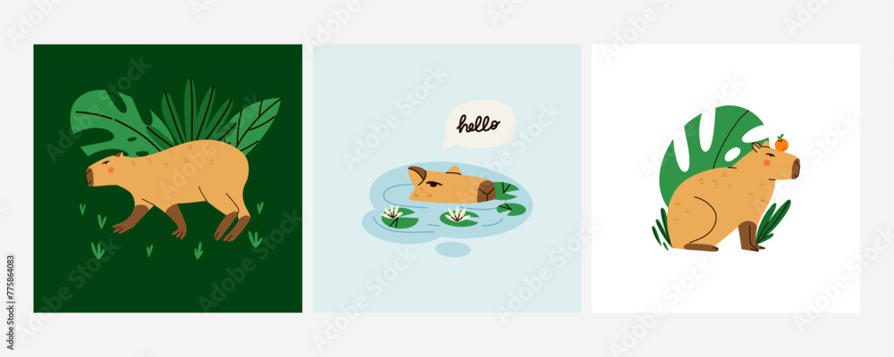 Fototapeta Cute capybara. Funny capibara, adorable exotic animal swimming, standing and sitting. South America mammal relaxing, lettering phrase, print or poster. Cartoon flat isolated vector set