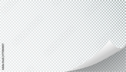 Curly Page Corner realistic illustration. Curled corners set. Paper page curl corner, flip turn fold sheet. Sticker. Vector