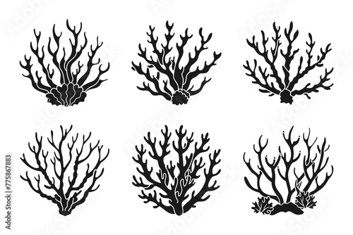 Set of coral reefs or algae, underwater plants. Set of sea coral icons. Black silhouette. Vector